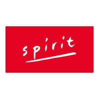 Spirit Immobilier